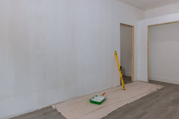 Best Mold Odor Removal Services  in Middlebush, NJ