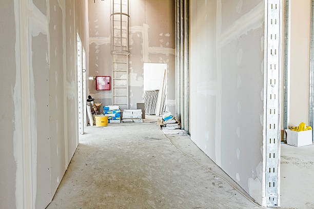 Best Crawl Space Mold Remediation  in Middlebush, NJ